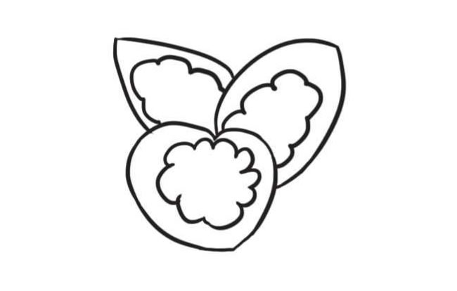 竹芋简笔画创作步骤图示02