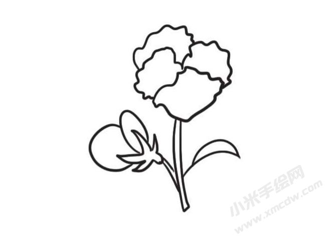 三色堇简笔画创作步骤图示04