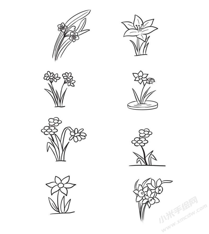 水仙花简笔画集合
