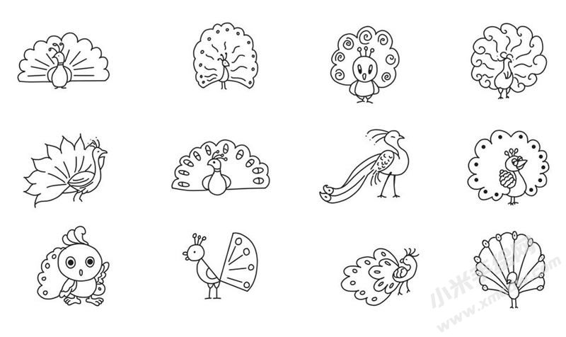 孔雀简笔画集合