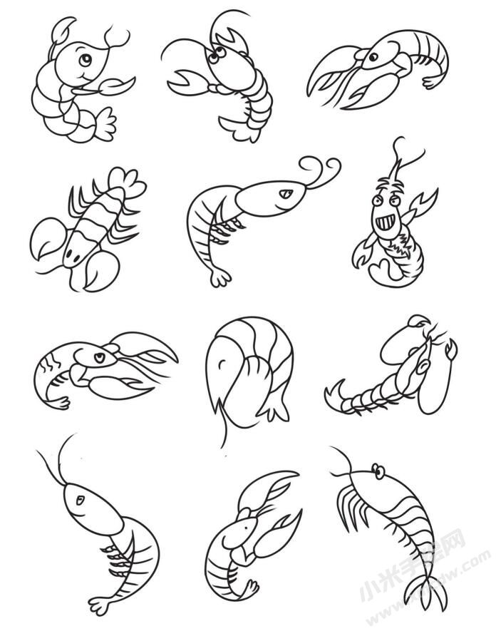 虾简笔画集合