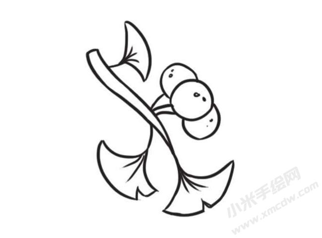 银杏简笔画创作步骤图示04