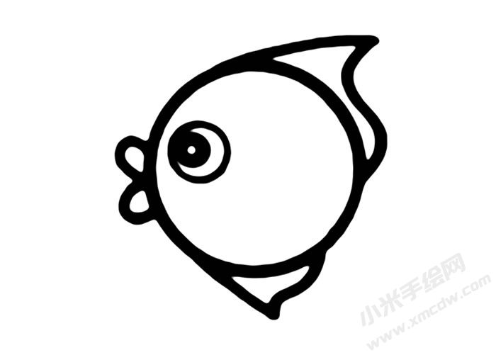 热带鱼儿童简笔画步骤04.jpg