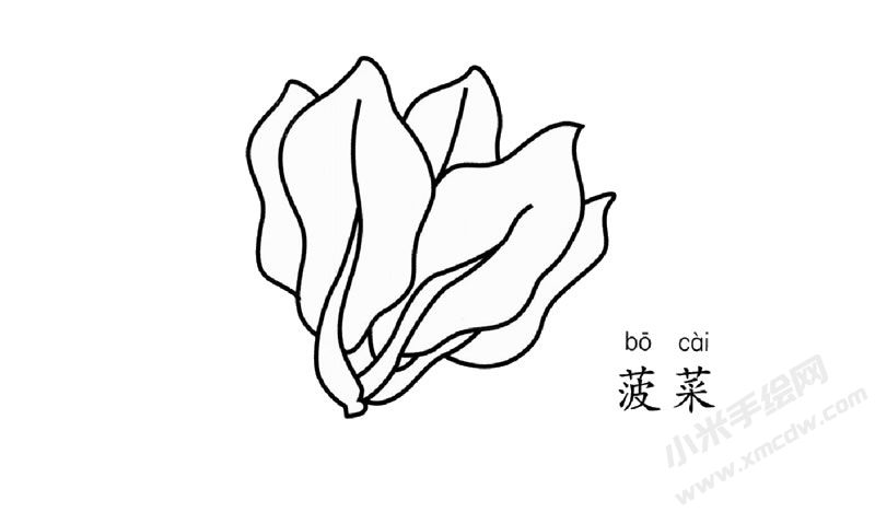 菠菜简笔画图片