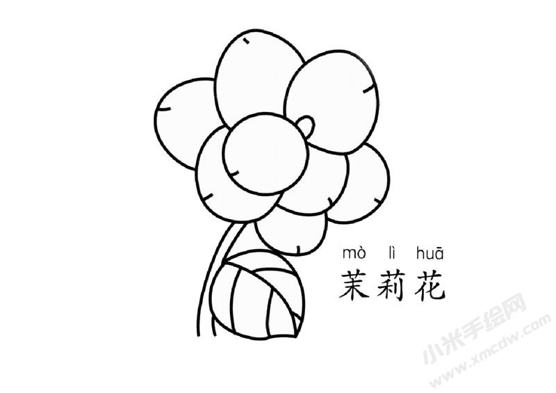 茉莉花儿童简笔画图片