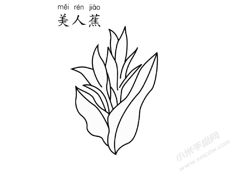 美人蕉简笔画图片