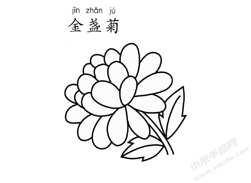 金盏菊简笔画图片
