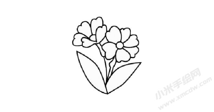 报春花简笔画创作步骤02.jpg