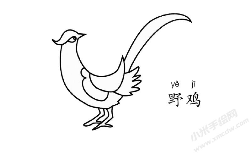 野鸡简笔画图片