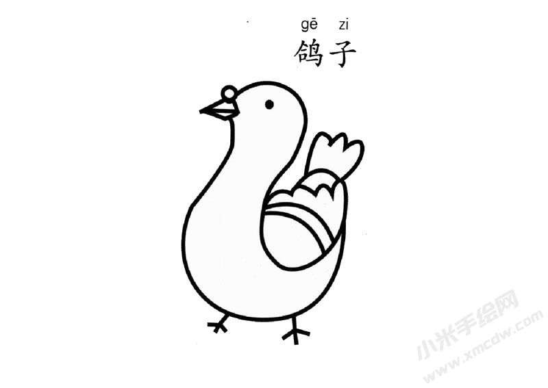 鸽子儿童简笔画图片