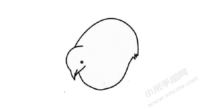 鹧鸪简笔画创作步骤02.jpg