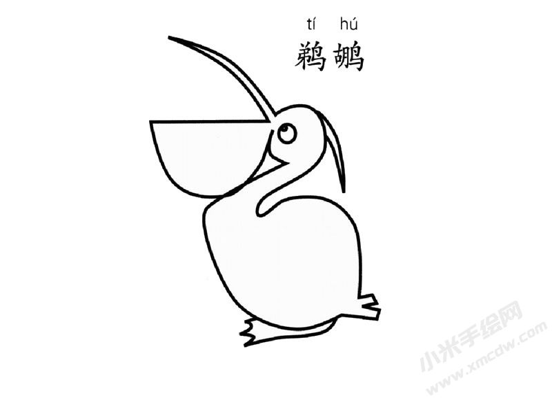 鹈鹕简笔画图片
