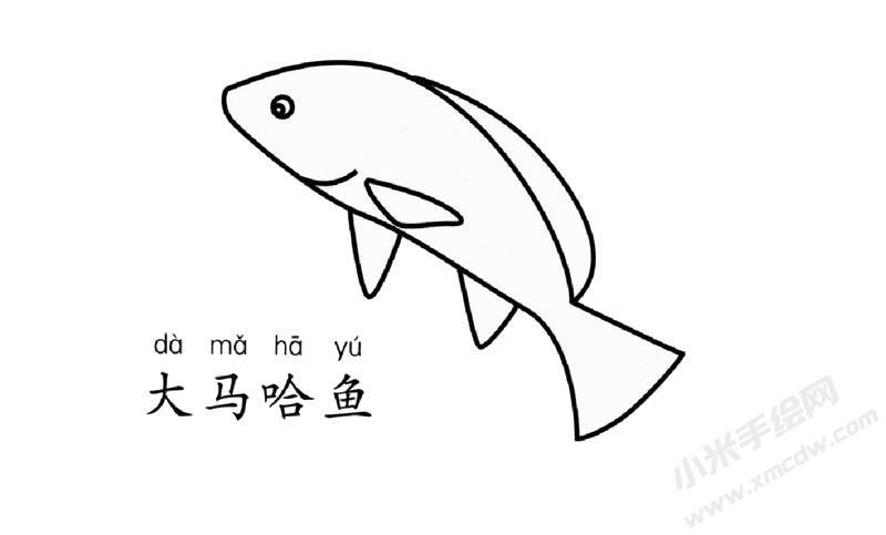 大马哈鱼简笔画图片