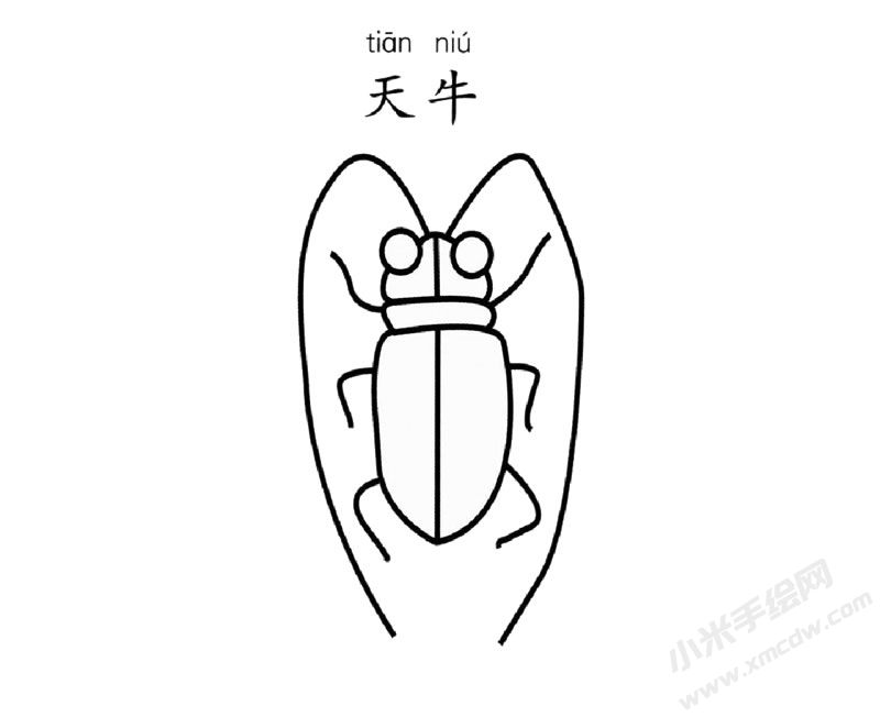 天牛简笔画图片