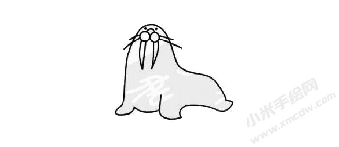 海象简笔画绘制步骤03.jpg