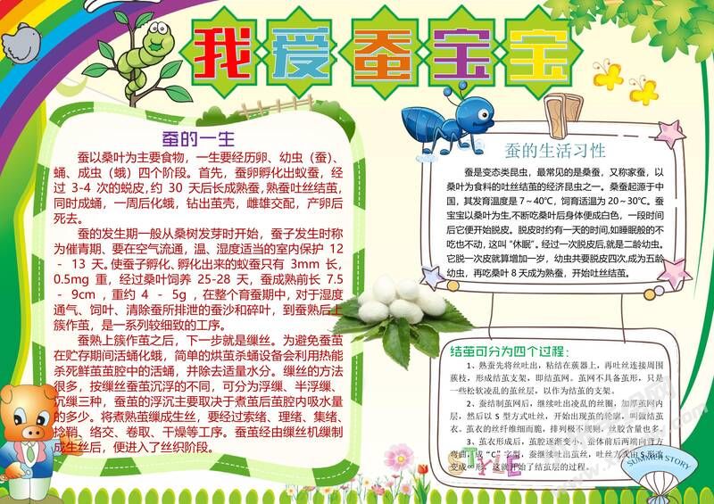 我爱蚕宝宝手抄报模板02.jpg