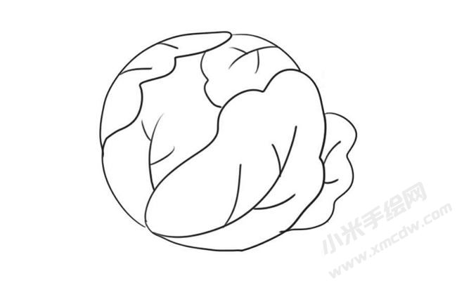 包菜简笔画绘制步骤09.jpg