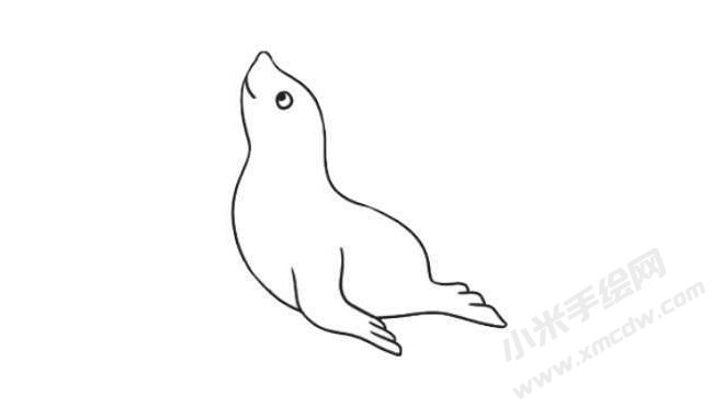 海豹简笔画绘制步骤06.jpg