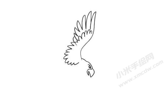 简笔画老鹰画法步骤04.jpg