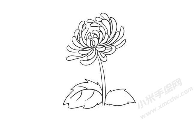 简笔画菊花画法步骤08.jpg