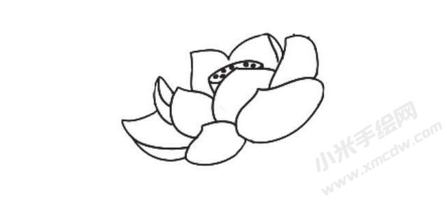 简笔画荷花画法步骤06.jpg