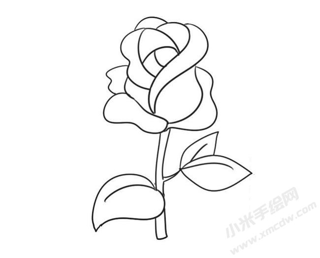 玫瑰简笔画法步骤09.jpg