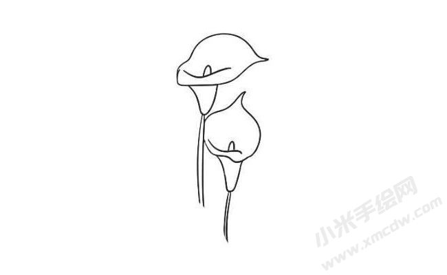 马蹄莲简笔画法步骤06.jpg