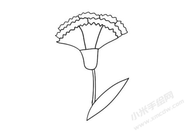 康乃馨简笔画法步骤07.jpg