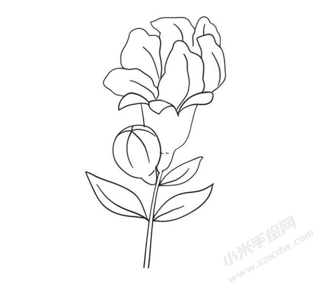 石榴花简笔画法步骤09.jpg