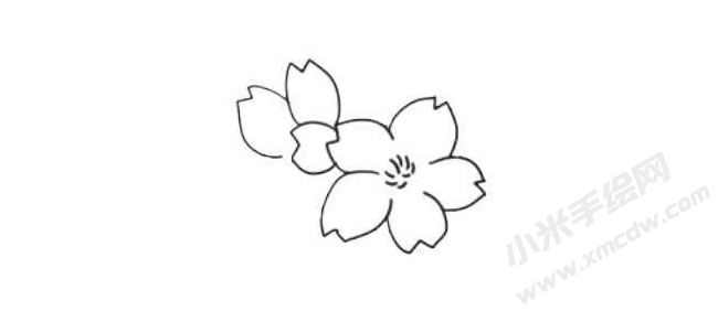 樱花简笔画法步骤02.jpg