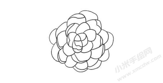 山茶花简笔画法步骤06.jpg