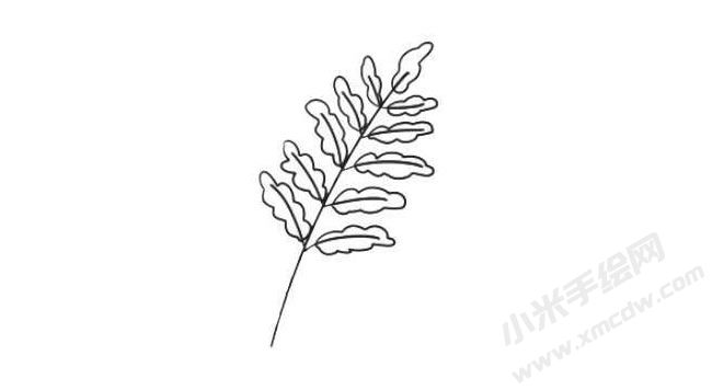 蕨类简笔画法步骤03.jpg