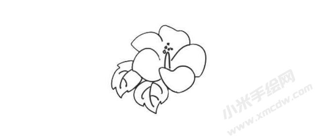 蜀葵简笔画法步骤03.jpg