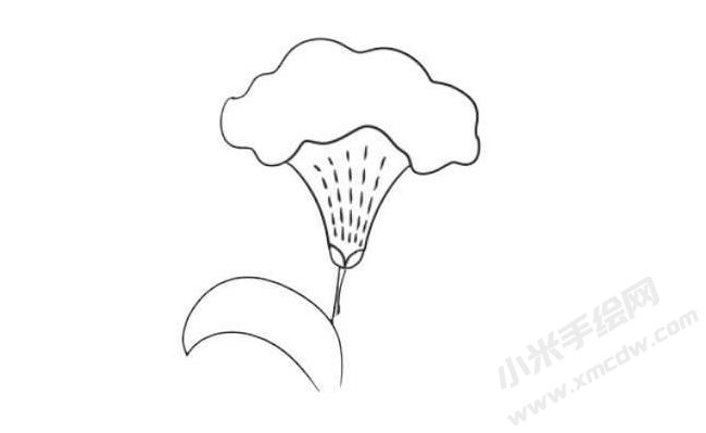 鸡冠花简笔画法步骤08.jpg