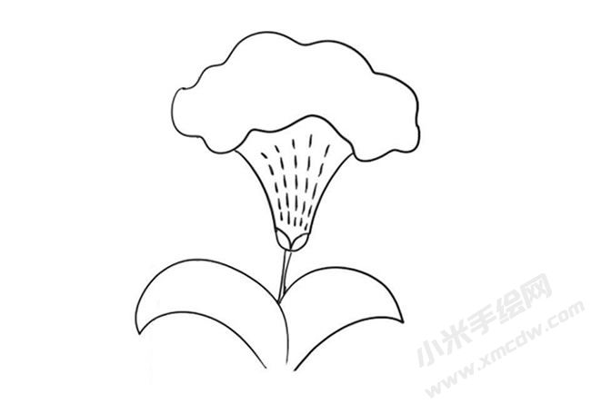 鸡冠花简笔画法步骤09.jpg