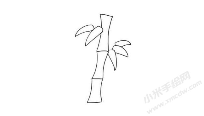 竹子简笔画法步骤05.jpg