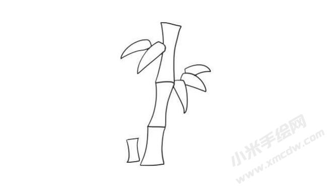 竹子简笔画法步骤06.jpg