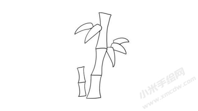 竹子简笔画法步骤07.jpg