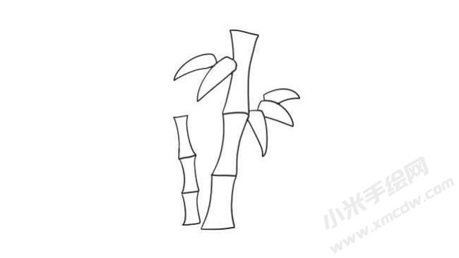 竹子简笔画法步骤08.jpg
