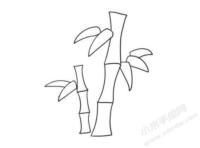 竹子简笔画法步骤09.jpg