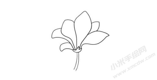 玉兰花简笔画法步骤05.jpg