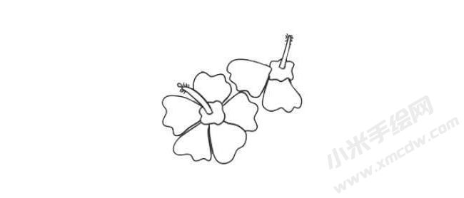 木槿花简笔画法步骤03.jpg