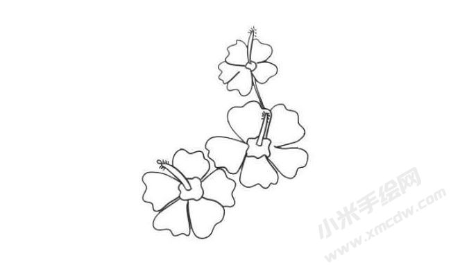 木槿花简笔画法步骤05.jpg