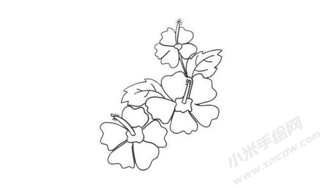 木槿花简笔画法步骤07.jpg