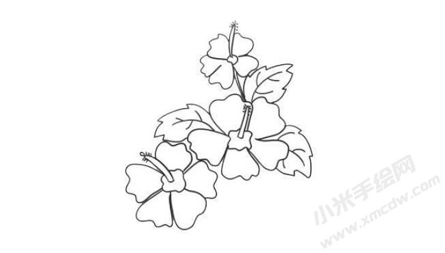木槿花简笔画法步骤08.jpg