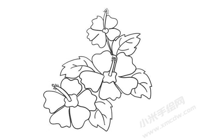 木槿花简笔画法步骤09.jpg