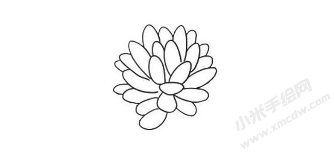 多肉植物简笔画绘制步骤05.jpg