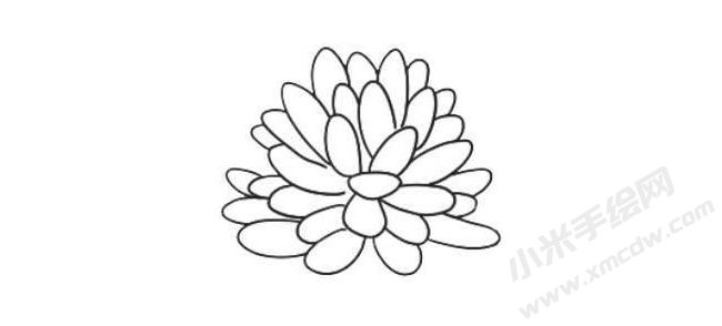 多肉植物简笔画绘制步骤06.jpg