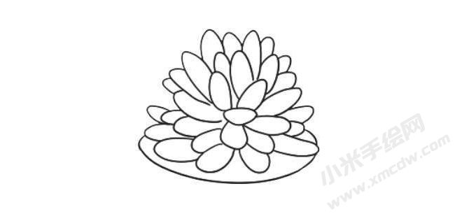 多肉植物简笔画绘制步骤07.jpg