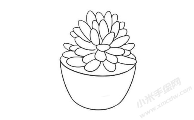 多肉植物简笔画绘制步骤08.jpg